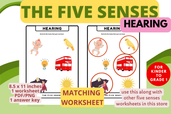 Download Sense of Hearing Matching Worksheet(K-1) - Premium Bundle