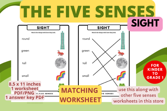 Download Sense of Sight Matching Worksheet (K-1) - Premium Bundle